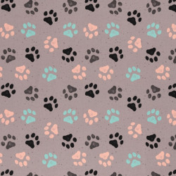 Canvas - Rinteln Pfoten grau beige